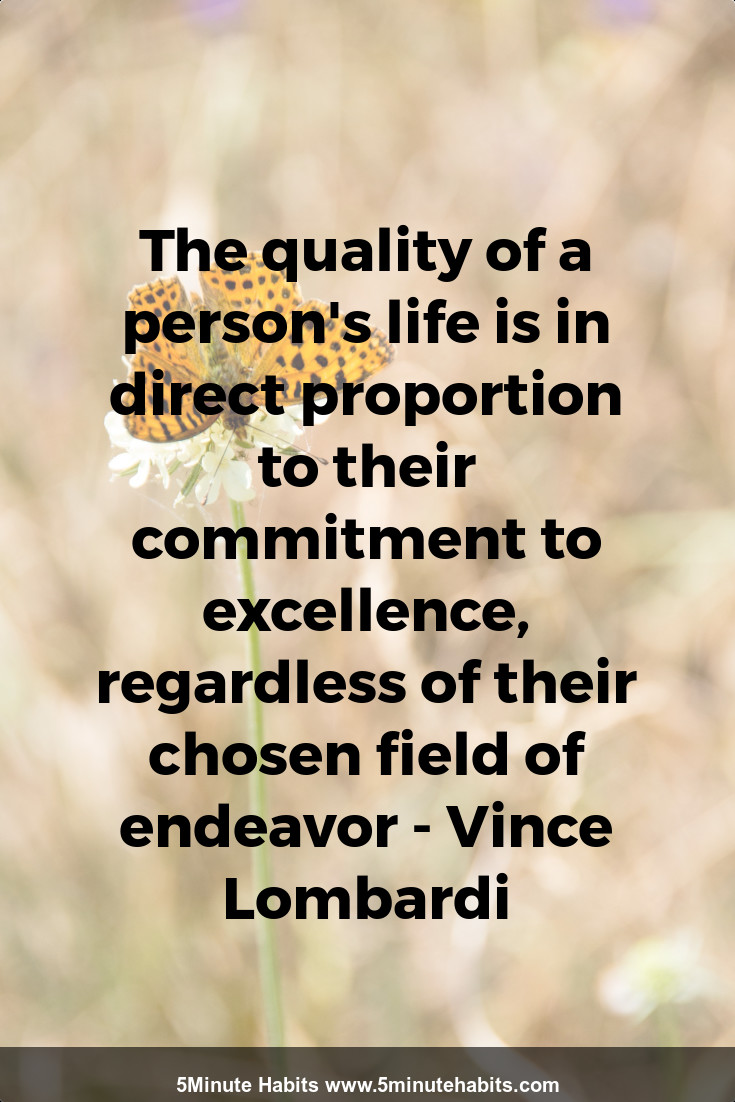 The quality of a person's life is in direct proportion to their commitment to excellence, regardless of their chosen field of endeavor - Vince Lombardi